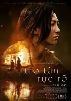 Сияющий пепел смотреть онлайн (2022)